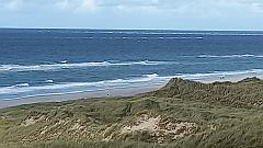 Sylt (195)